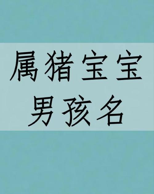 猪宝宝男孩起名浩好吗 浩字男孩最吉利的名字