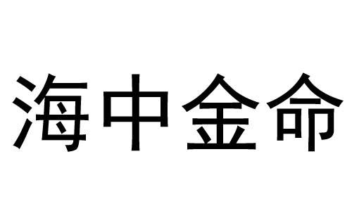 海中金命是什么意思 84年海中金命女的命运