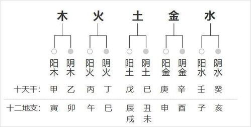 八字测试打分算命五行 张章名字五行八字指数