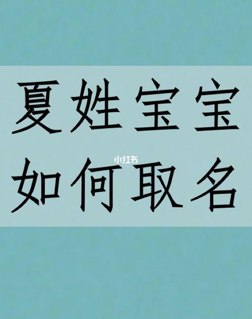 夏姓男宝宝起名字带浩字的 浩字取名男孩子洋气名字三个字