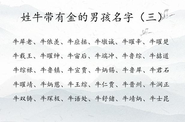 牛宝宝起名忌讳字 亦字绝配名字