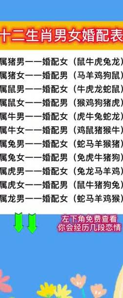 免费生肖八字测名字打分 名字打分查询小程序入口