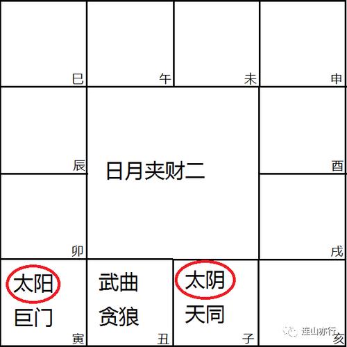 日月夹命格 顶级权贵的八字