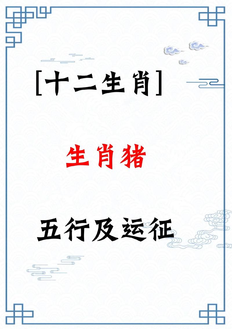 属猪的是什么命 71年的猪2024年全年运势