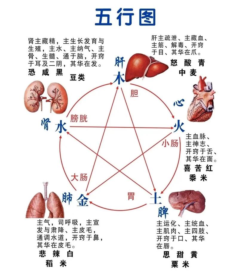 五行中什么是天医命格 命格自带天医